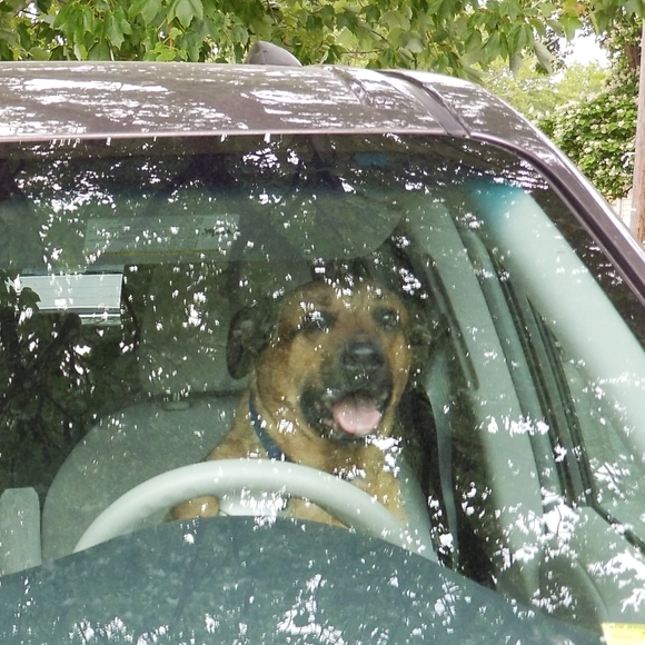 PLSreadBEFOREbuying! - Picture 5 of 16